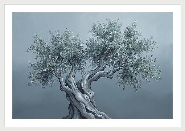 Ancient Olive Tree Majesty