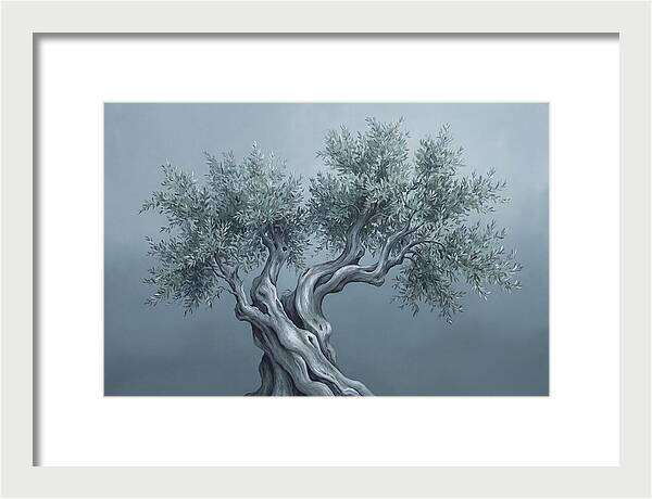 Ancient Olive Tree Majesty