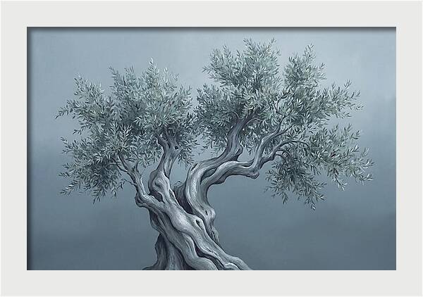 Ancient Olive Tree Majesty