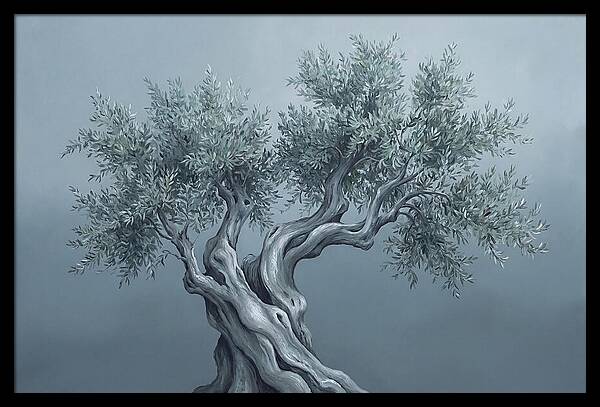 Ancient Olive Tree Majesty