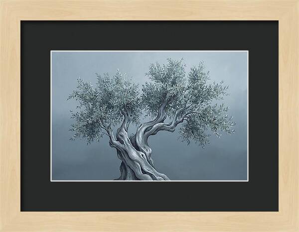 Ancient Olive Tree Majesty
