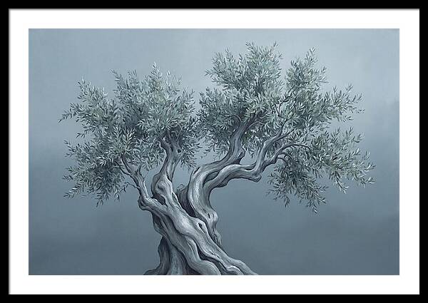 Ancient Olive Tree Majesty