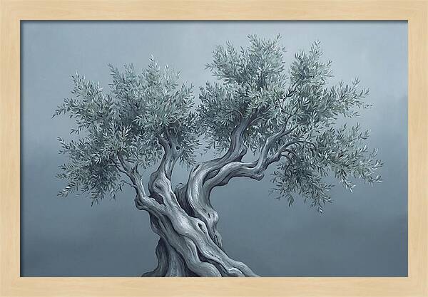 Ancient Olive Tree Majesty