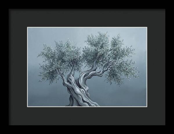 Ancient Olive Tree Majesty