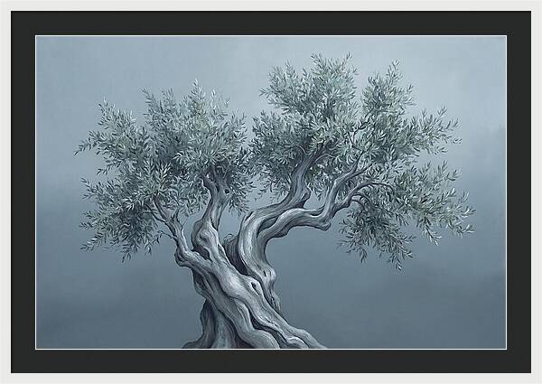 Ancient Olive Tree Majesty