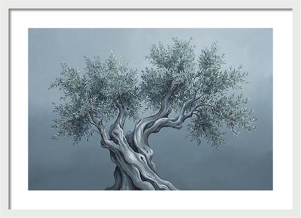 Ancient Olive Tree Majesty