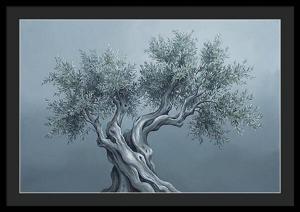 Ancient Olive Tree Majesty