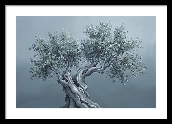 Ancient Olive Tree Majesty