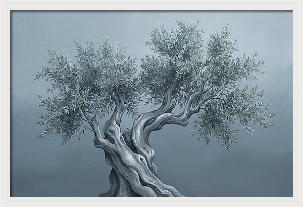 Ancient Olive Tree Majesty