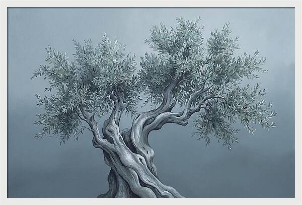 Ancient Olive Tree Majesty