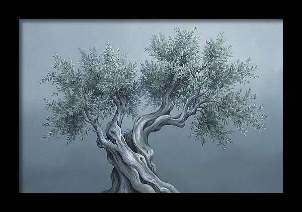 Ancient Olive Tree Majesty