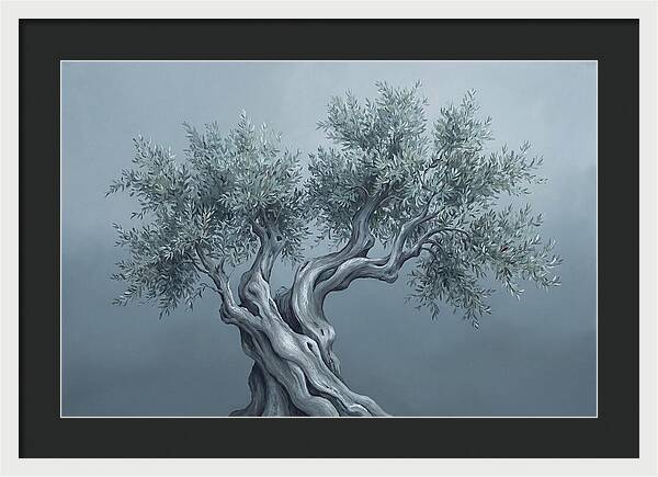 Ancient Olive Tree Majesty