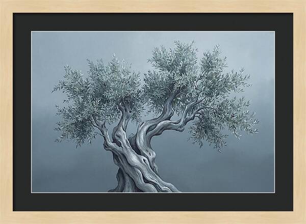 Ancient Olive Tree Majesty