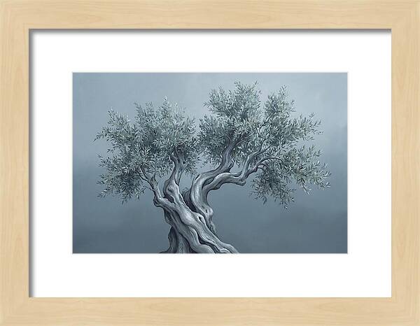 Ancient Olive Tree Majesty