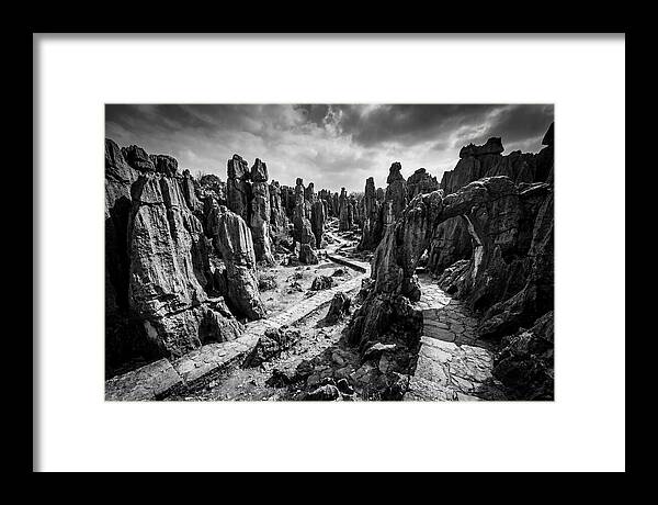 Ancient Stone Forest