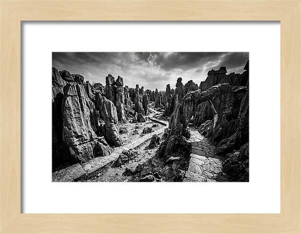 Ancient Stone Forest