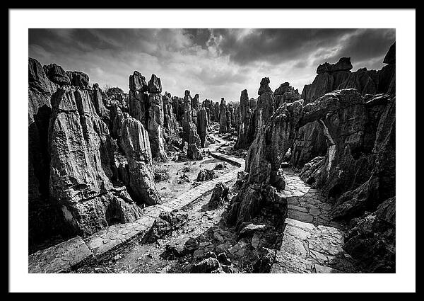Ancient Stone Forest