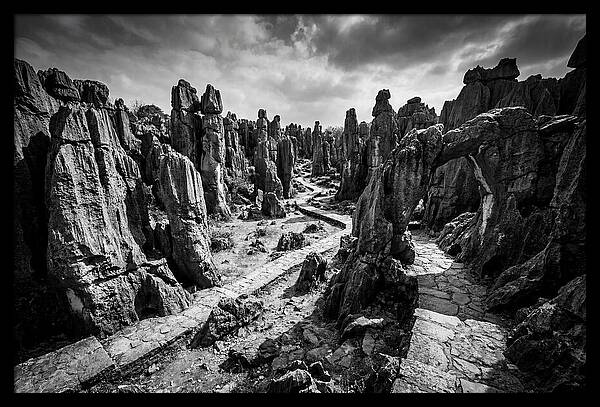 Ancient Stone Forest