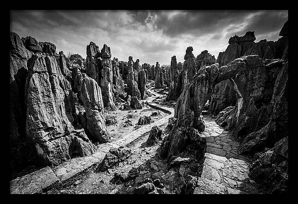 Ancient Stone Forest