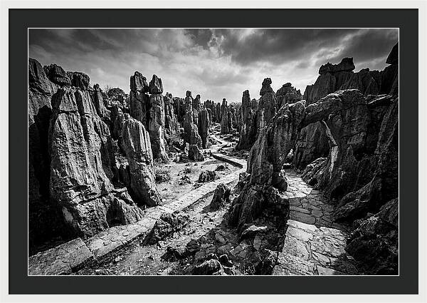 Ancient Stone Forest