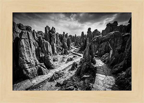 Ancient Stone Forest