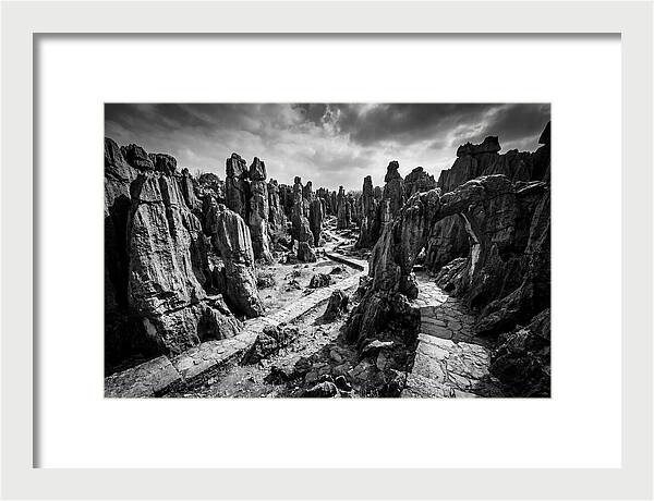 Ancient Stone Forest
