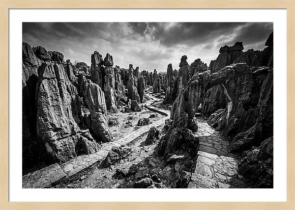 Ancient Stone Forest