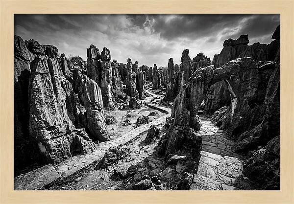 Ancient Stone Forest