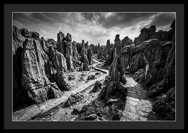 Ancient Stone Forest