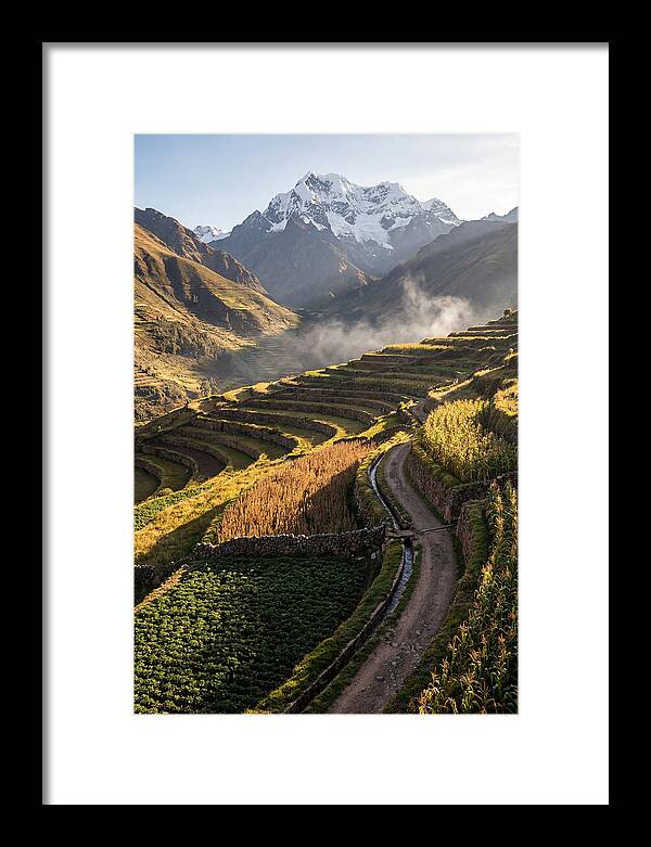 Andean Terraced Landscapes