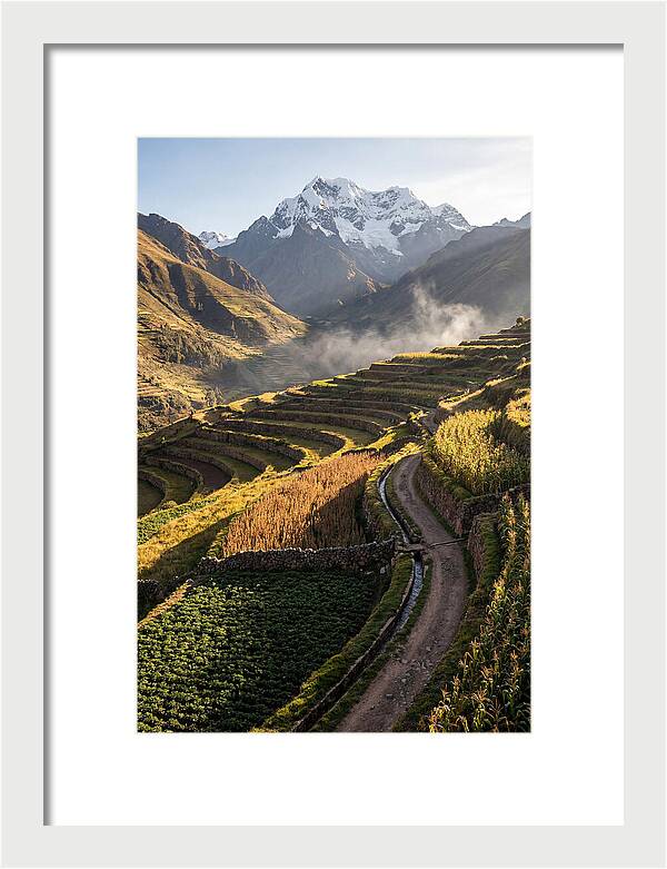 Andean Terraced Landscapes