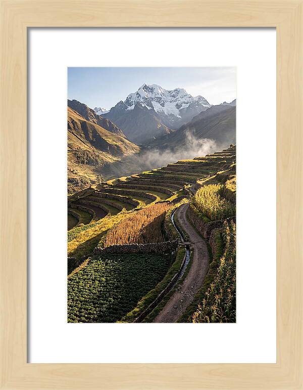 Andean Terraced Landscapes