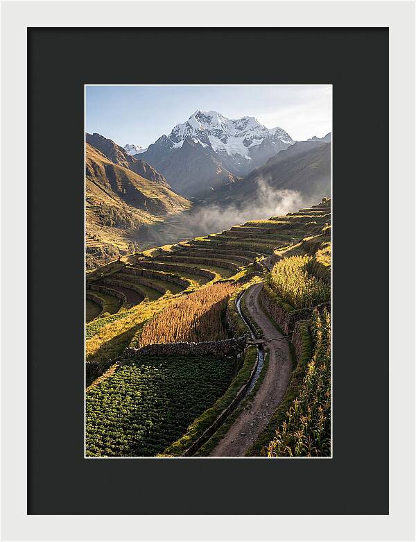 Andean Terraced Landscapes