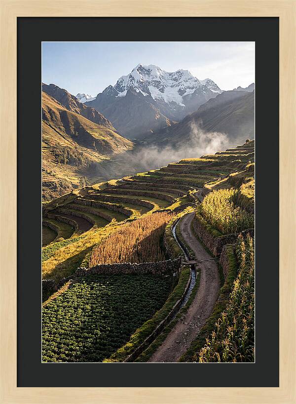 Andean Terraced Landscapes