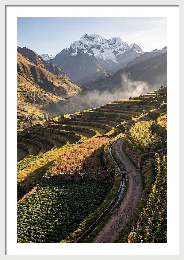 Andean Terraced Landscapes