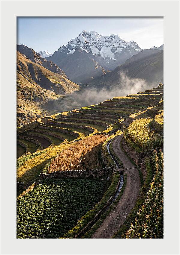 Andean Terraced Landscapes