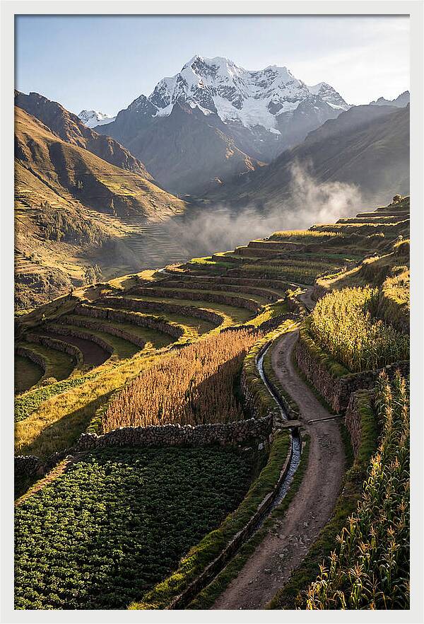 Andean Terraced Landscapes