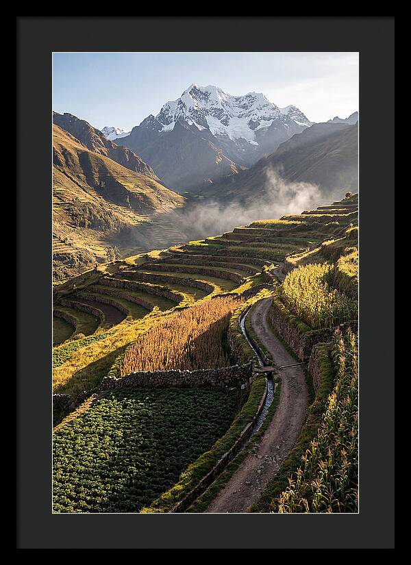 Andean Terraced Landscapes