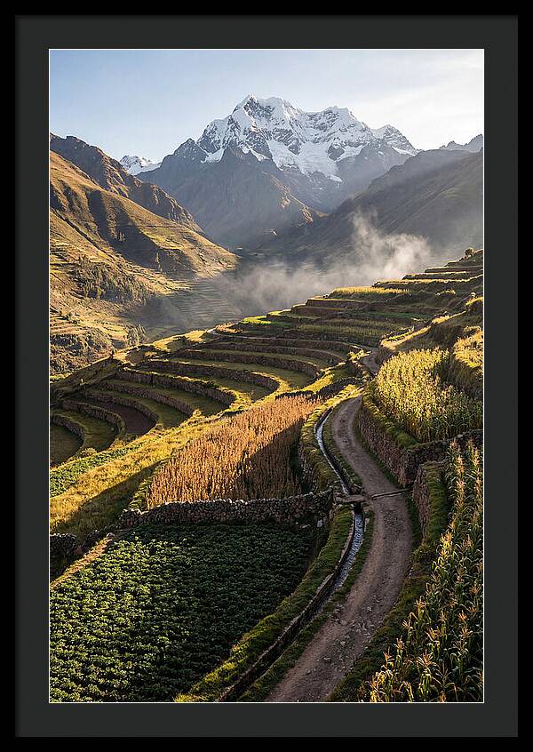 Andean Terraced Landscapes