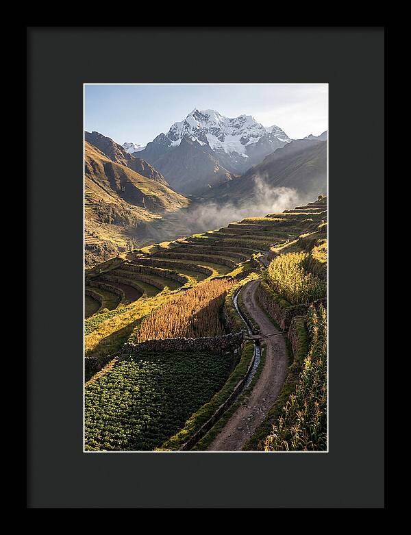 Andean Terraced Landscapes