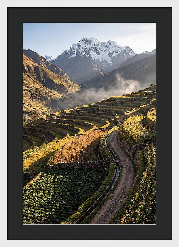 Andean Terraced Landscapes