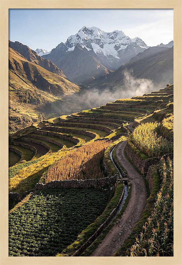 Andean Terraced Landscapes