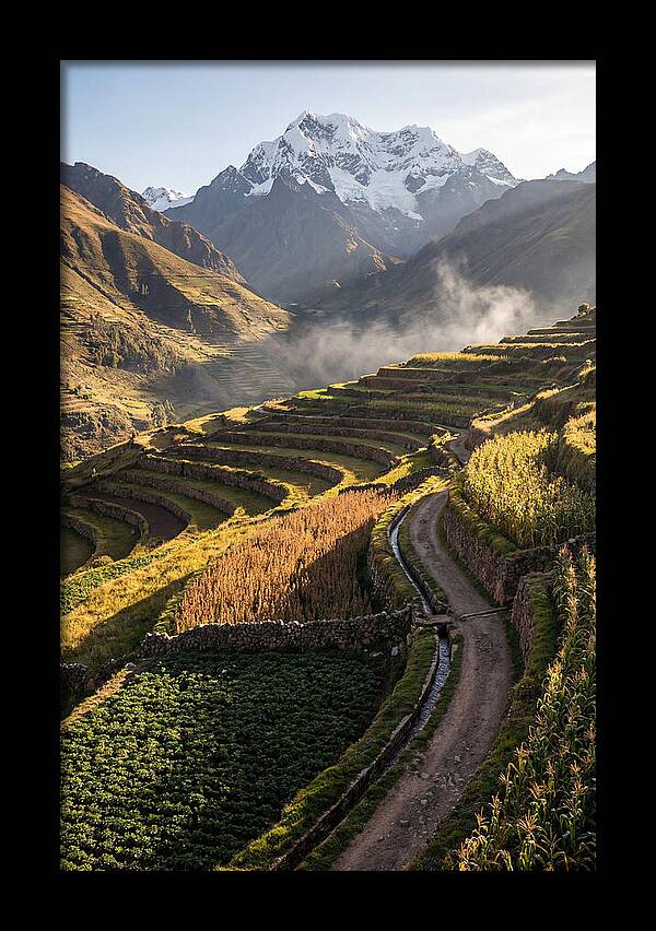 Andean Terraced Landscapes