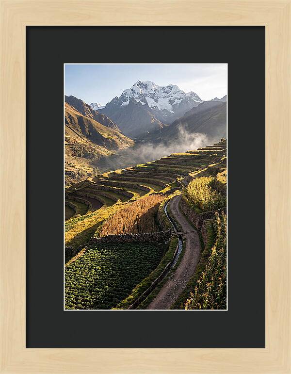 Andean Terraced Landscapes