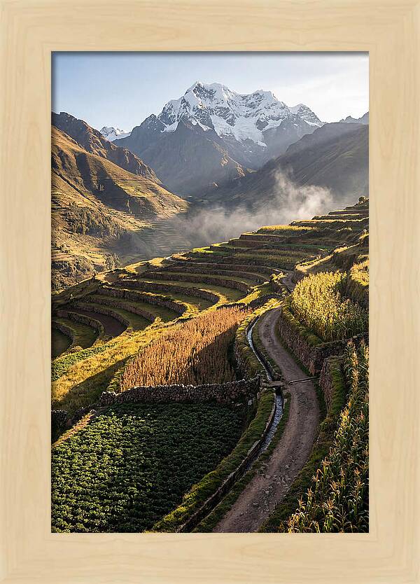 Andean Terraced Landscapes