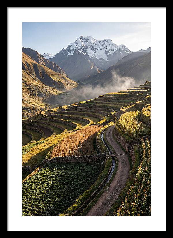 Andean Terraced Landscapes