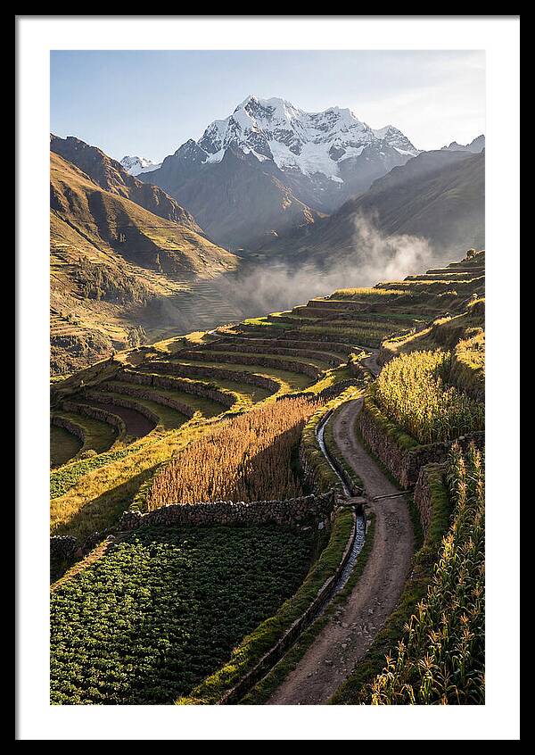 Andean Terraced Landscapes