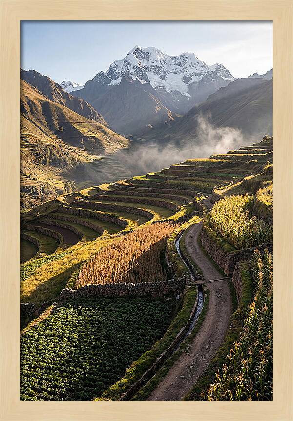Andean Terraced Landscapes