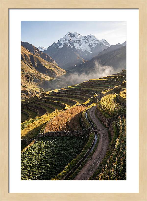 Andean Terraced Landscapes