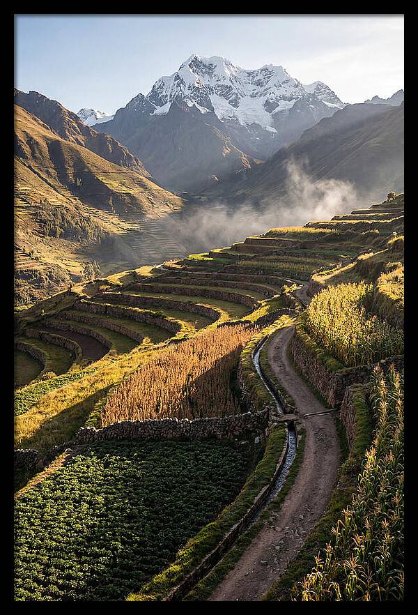 Andean Terraced Landscapes